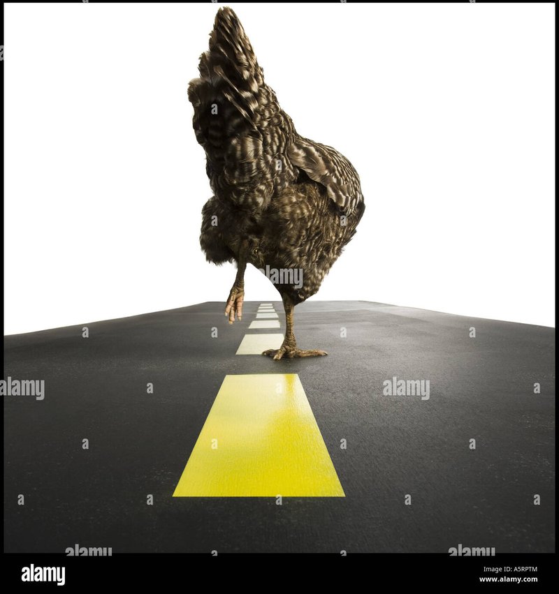 Spain - chicken road 2 españa